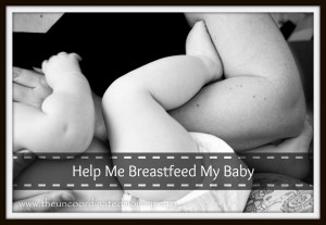 Help Me Breastfeed My Baby