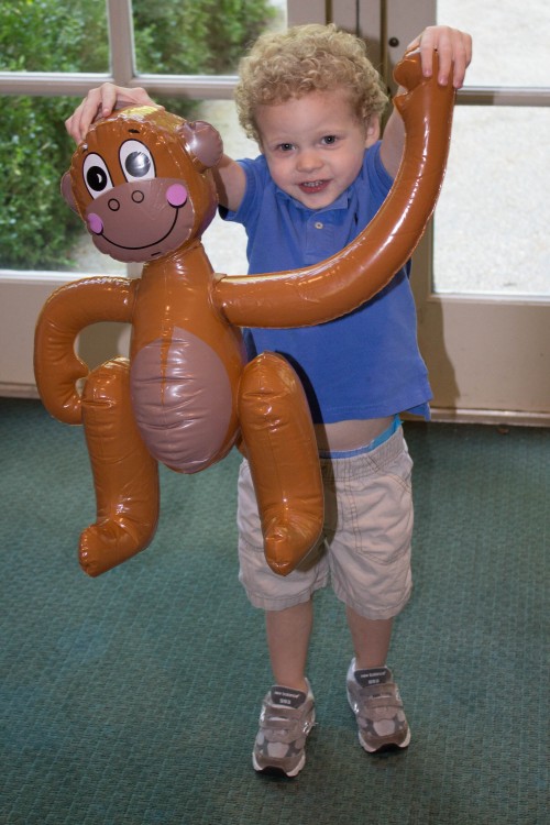 Safari/Zoo Birthday Party Inflatable Animals