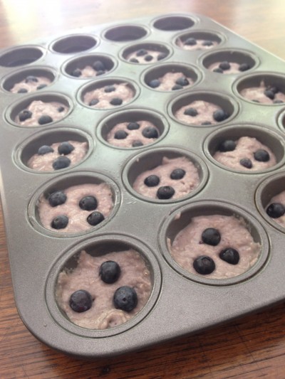 Black and Blue Berry Whole Wheat Muffins
