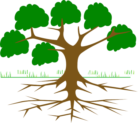 Tree Roots - Homeschool