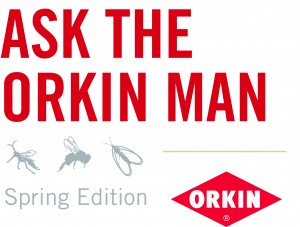 Ask the Orkin Man Spring Edition logo