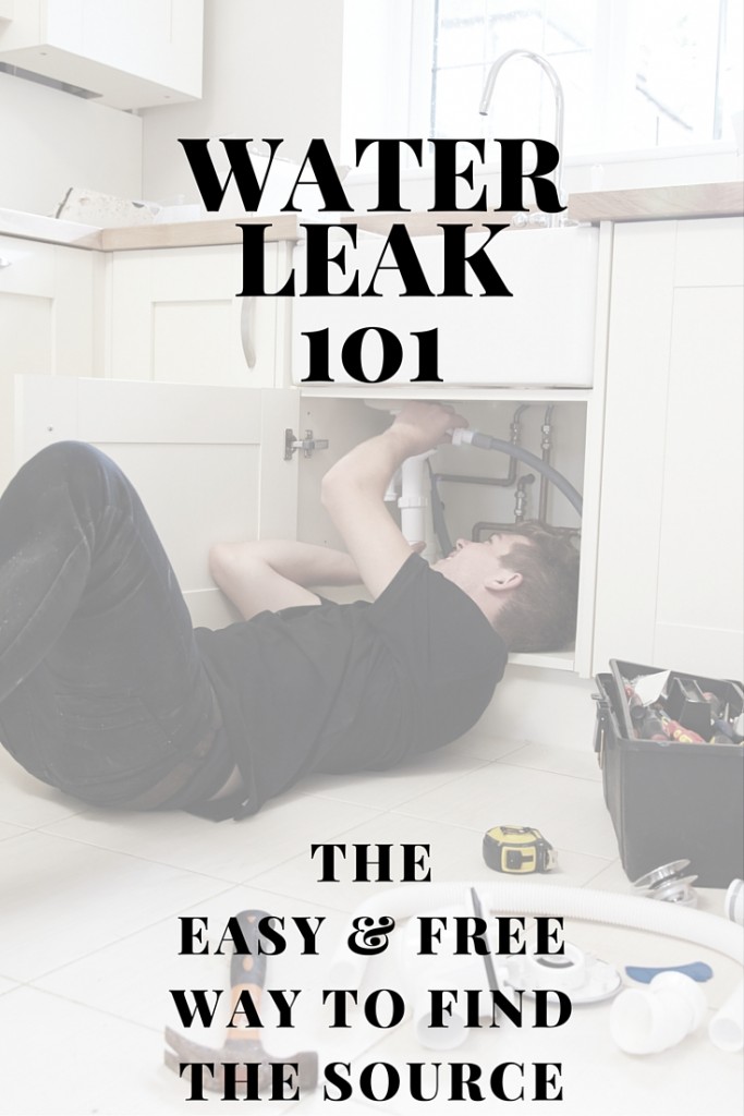 Water Leak 101 - The easy and free way to find the source
