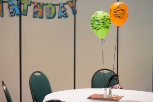 Safari/Zoo Birthday Party Animal Print Balloons